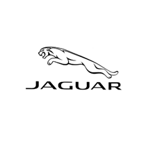 Пневмодвеска Jaguar 